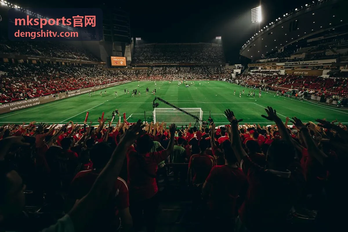 mksports官网赛后回放与数据复盘配图